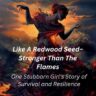Like A Redwood Seed—Stronger Than The Flames