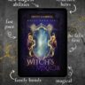 The Witch’s Mirror The Witch’s Mirror