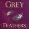 Grey Feathers Grey Feathers